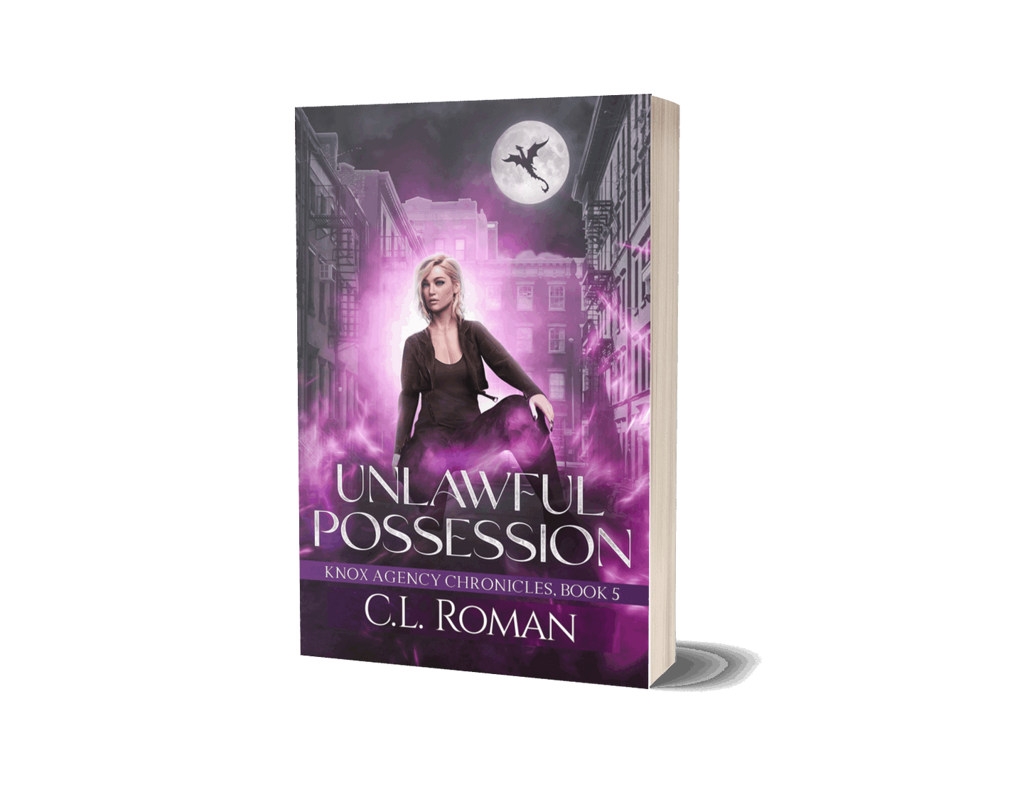 Unlawful Possession, Paperback