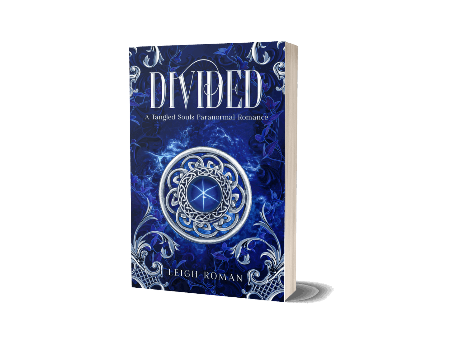 Divided, Paperback